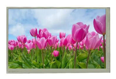 At070tn83 V.1 800x480 7 Zoll-Anzeige mit Touch Screen Farbe-LCD-Platten 300Nits 40Pins