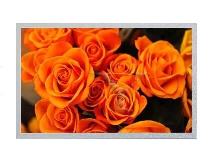 Ej101ia-01g 1280*800 Tablet-LCD-Bildschirm zeigen 10.1in passende industrielle Anzeige an